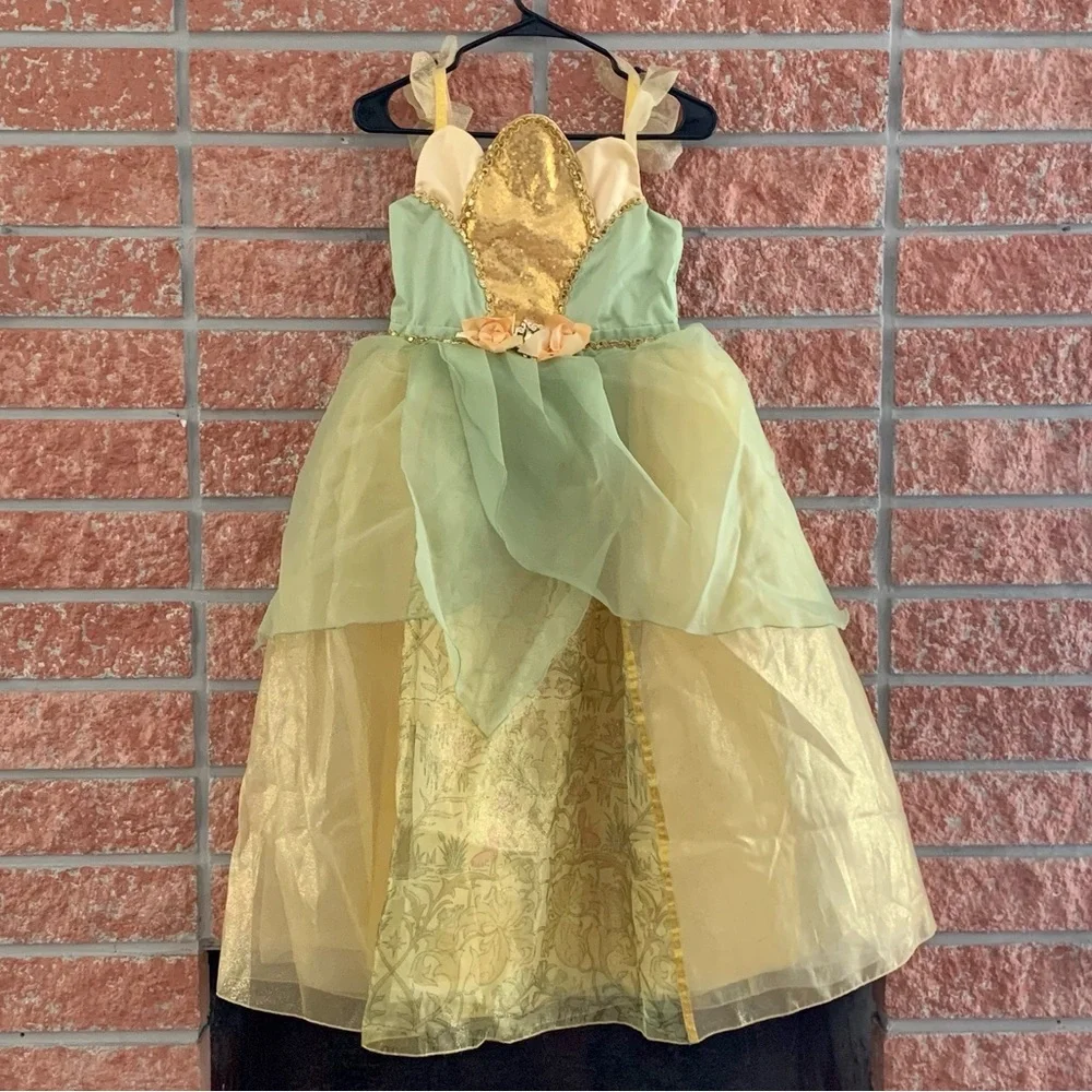 Disney princess dress